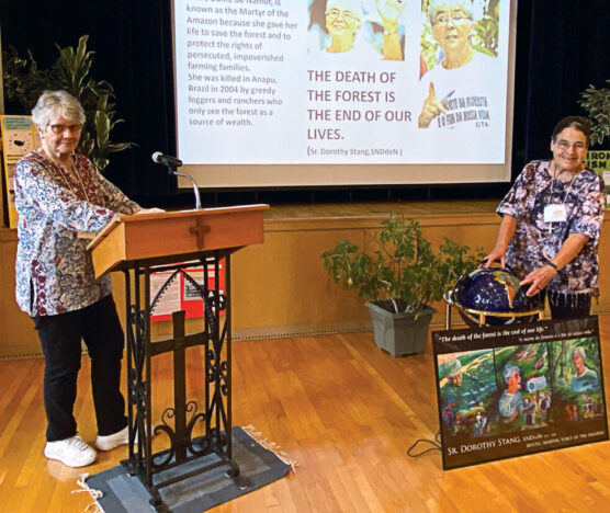 Laudato Si Action Platform