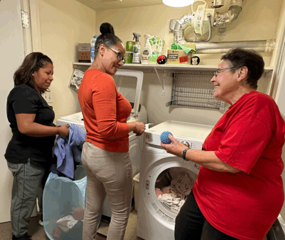 Laudato Si Article Header Laundr