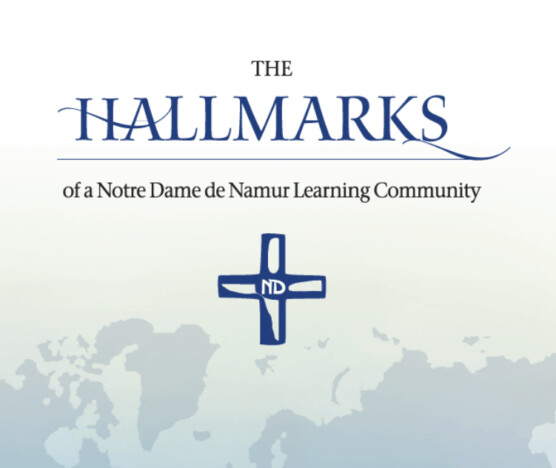 hallmarks hero