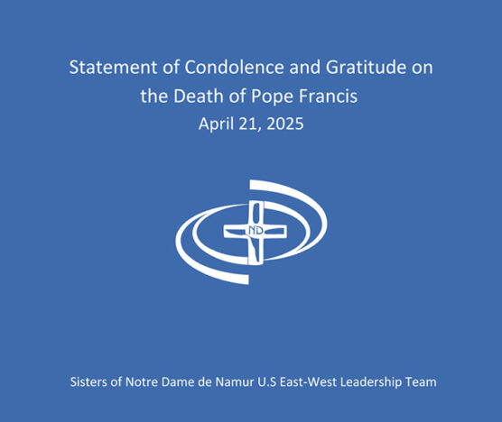 Pope Francis Statement Header