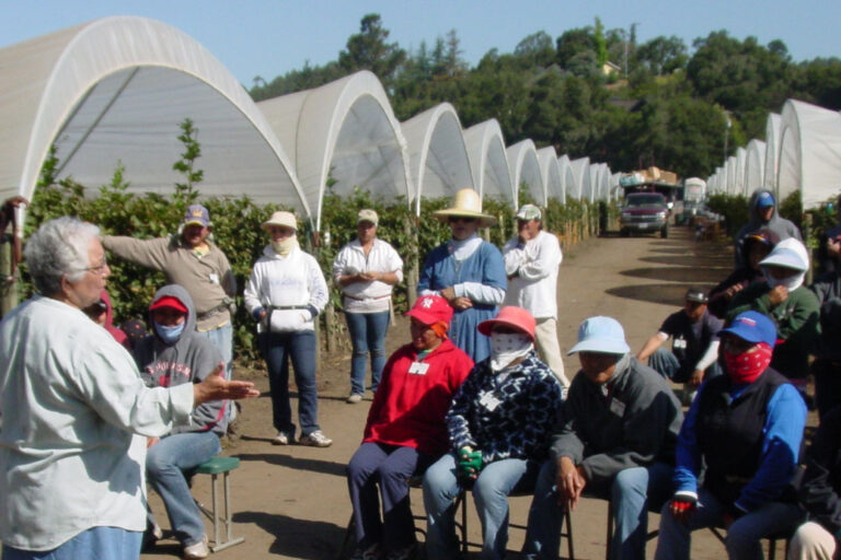 Rosa Dolores instructing farmworkers