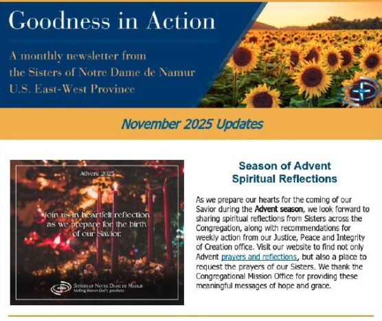 November 2025 – Goodness in Action Newsletter for US EW Sisters