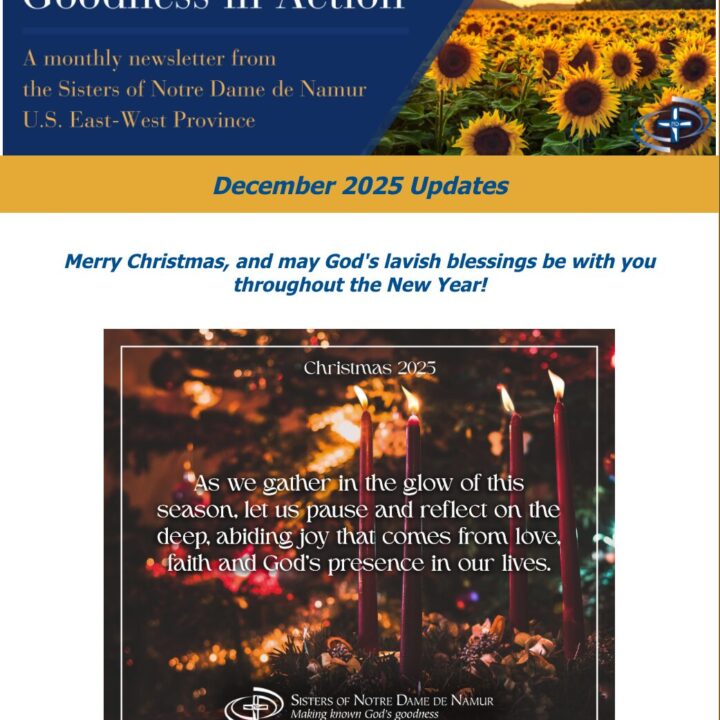 Dec 2025 newsletter thumb
