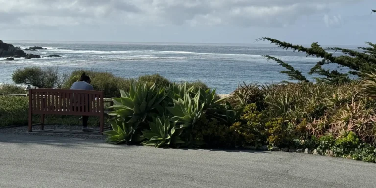 IMG 9908 e1762183236334.jpg