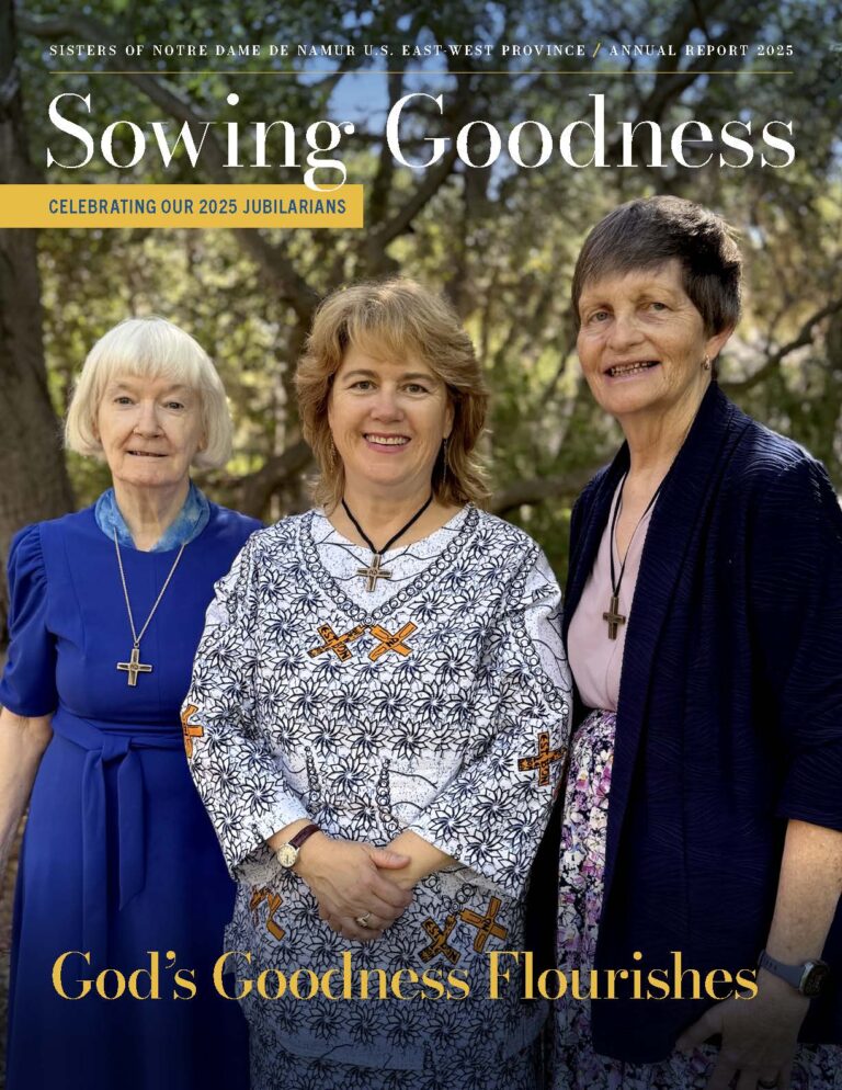 SowingGoodness 2025 AnnualReport cover