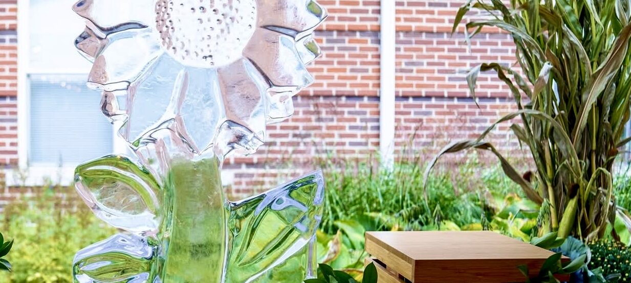 Ice sculpture at Notre Dame duLac Notre Dame Health Care