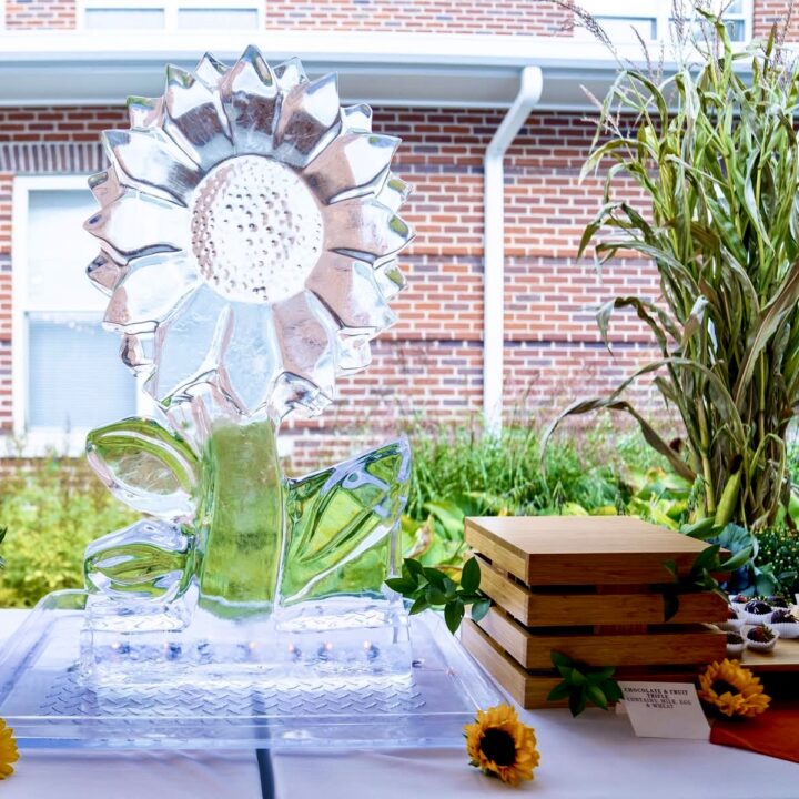Ice sculpture at Notre Dame duLac Notre Dame Health Care