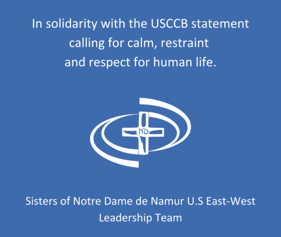 Minneapolis Policy 4372248897125388782