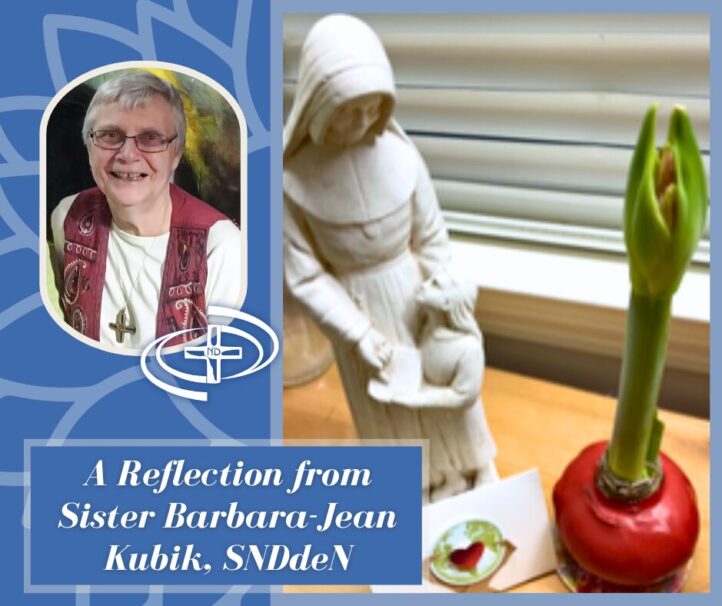 Sister Barbara Jean Kubik