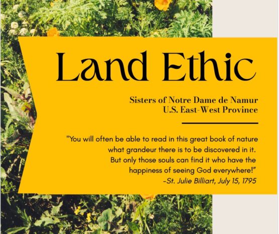 Land Ethic booklet cover