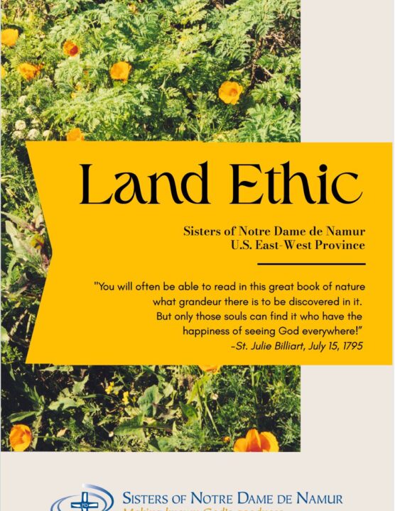 Land Ethic booklet cover