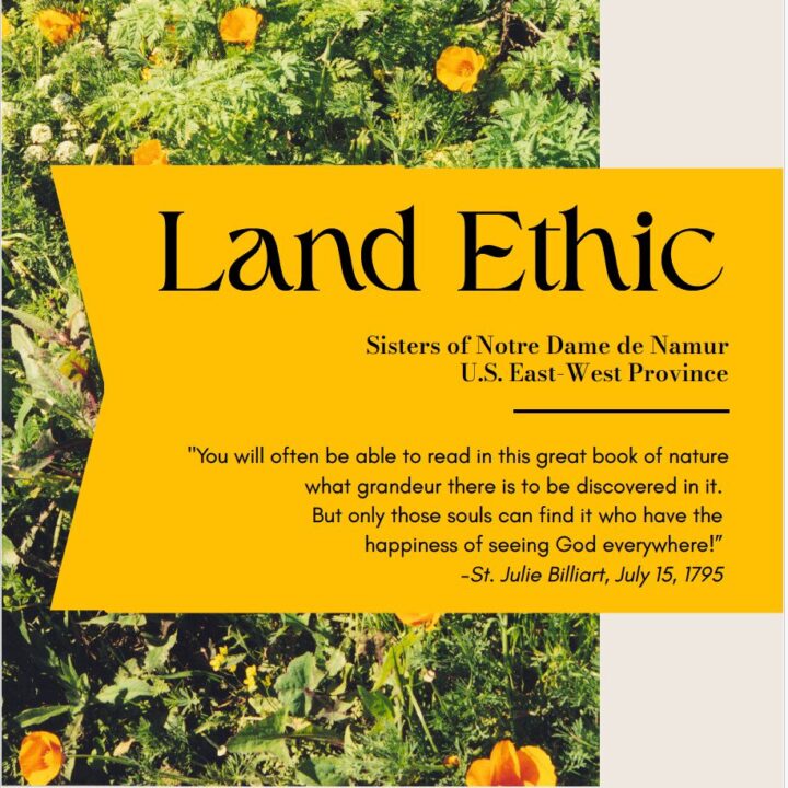 Land Ethic booklet cover