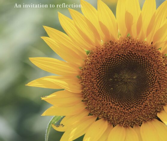 Cover Image Spring 2026 Appeals Booklet