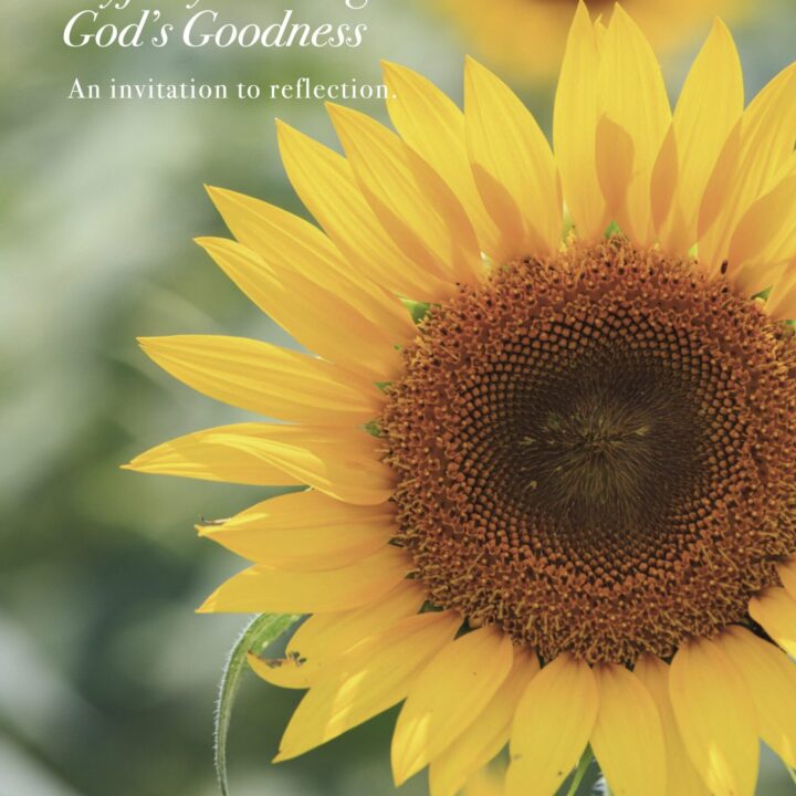 Cover Image Spring 2026 Appeals Booklet