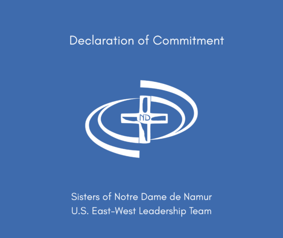 Declaration LCWR