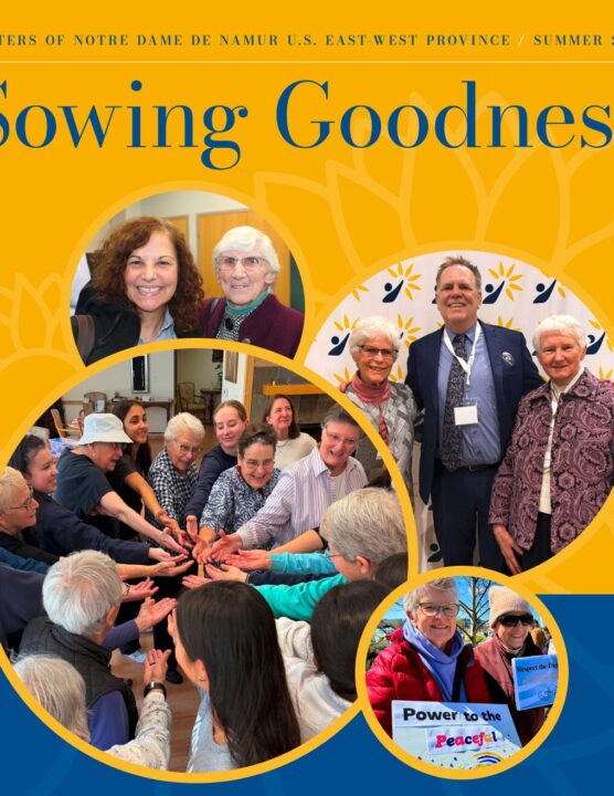 Sowing Goodness Summer 2026 cover copy