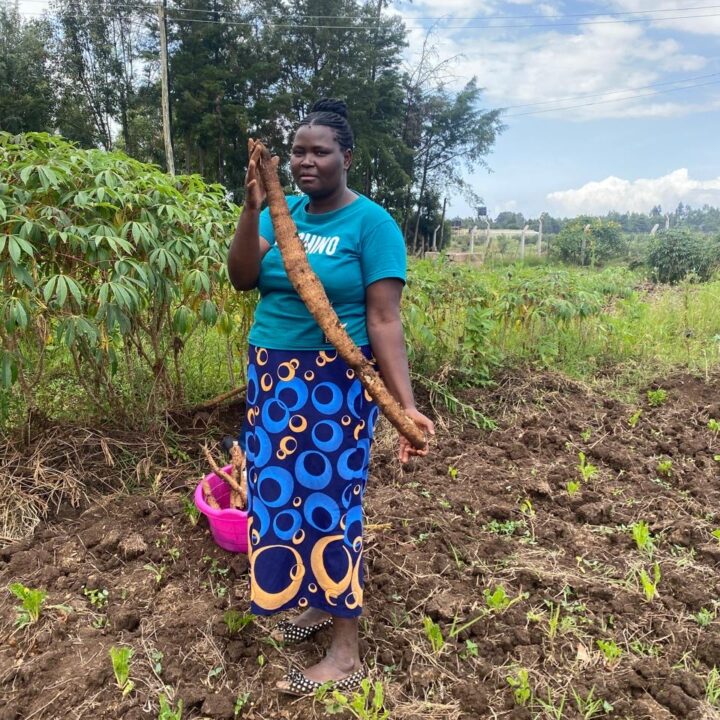 Rosemary Rudo Nyazenga Vocations International