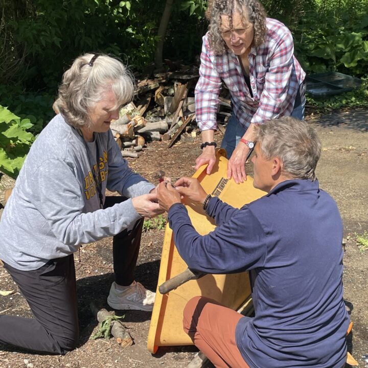Wheelbarrow, Laudato Seeds