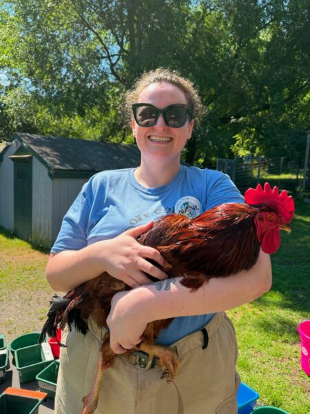 chicken