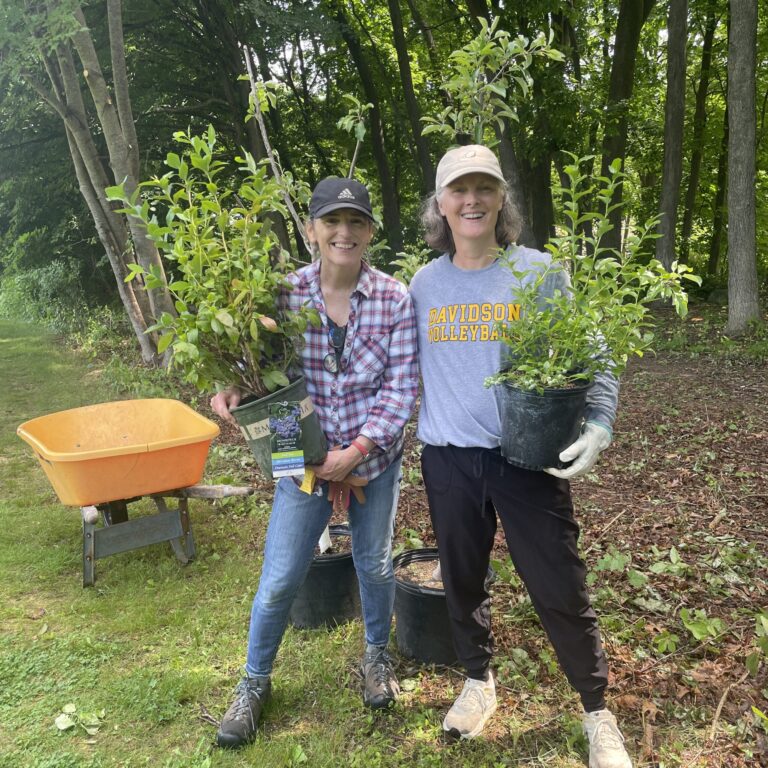 tree huggers Laudato seeds 2026