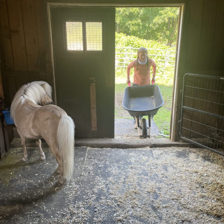 wheelbarrow and horse Laudato seeds 2026
