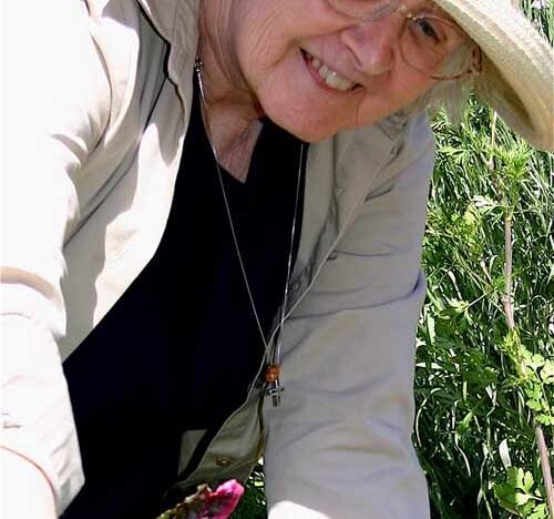 SR McMullen Kay Garden WEB 500x600