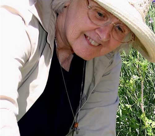 SR McMullen Kay Garden WEB 500x600